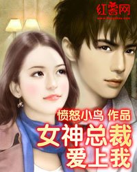 同居情緣:我與女神總裁合租